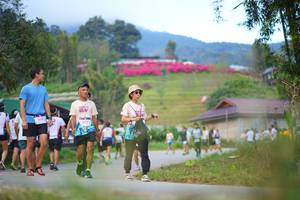 BIB: 418
                            <button type="button" onclick="openModal(19210233)" class="btn btn-primary btn-sm float-right btn-popup" data-toggle="modal" data-target=".modal-high-quality">
                        <i class="fas fa-shopping-cart"></i> Add to Cart
                    </button>
                                            <button type="button" onclick="isThisMe(19210233, true)" class="btn btn-success btn-sm float-right btn-popup btn-isme hidden" data-toggle="tooltip" data-placement="bottom" title="นี่คือรูปของคุณใช่ไหม คลิกที่นี่เพื่อเอาเข้าอัลบั้ม">
                        <i class="fas fa-plus"></i> Add to album
                    </button>
                    <button type="button" onclick="isThisMe(19210233, false)" class="btn btn-warning btn-sm float-right btn-popup btn-isnotme hidden">
                        <i class="fas fa-ban"></i> Remove from album
                    </button>